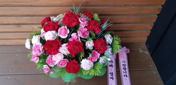 업로드 이미지