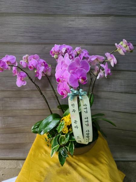 업로드 이미지