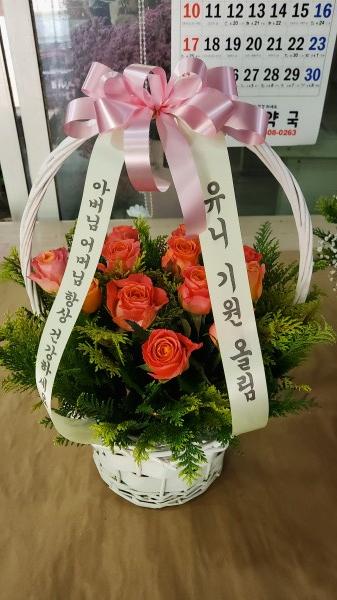 업로드 이미지