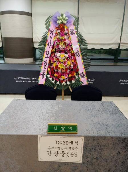 업로드 이미지