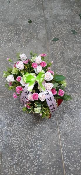 업로드 이미지