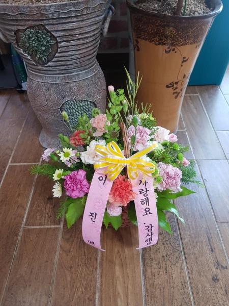 업로드 이미지