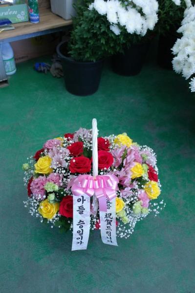 업로드 이미지