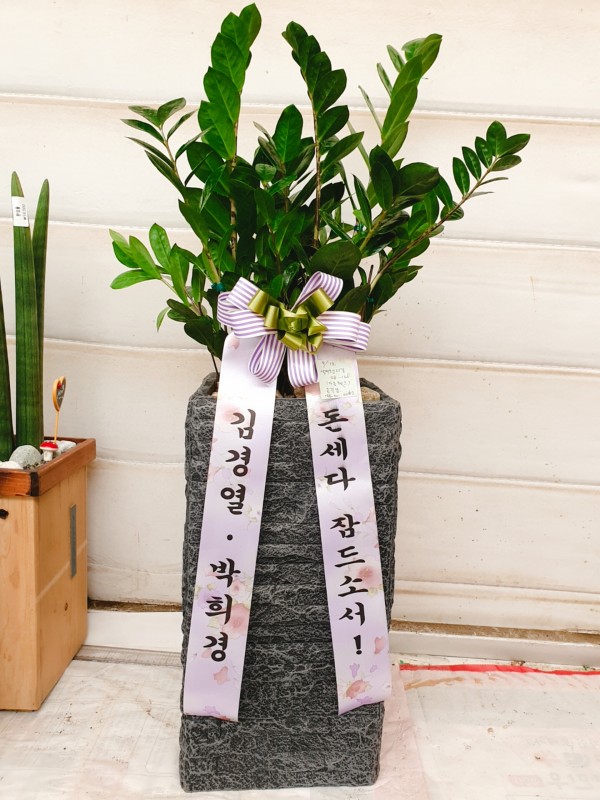 업로드 이미지