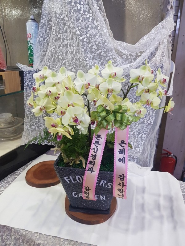 업로드 이미지