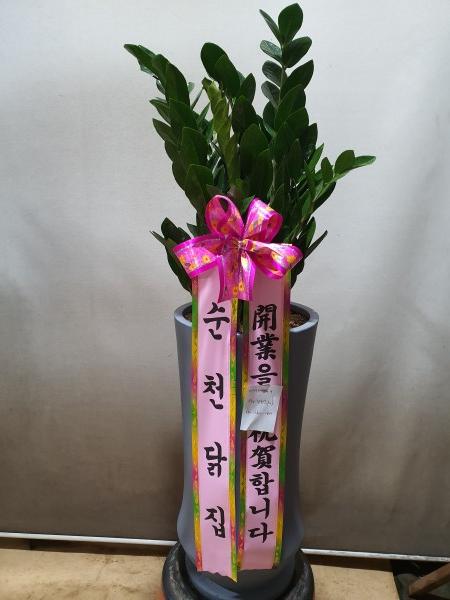 업로드 이미지