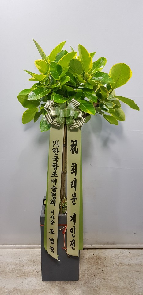 업로드 이미지