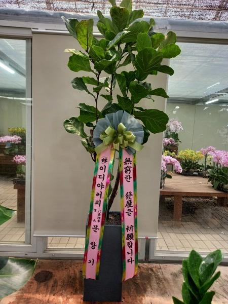 업로드 이미지