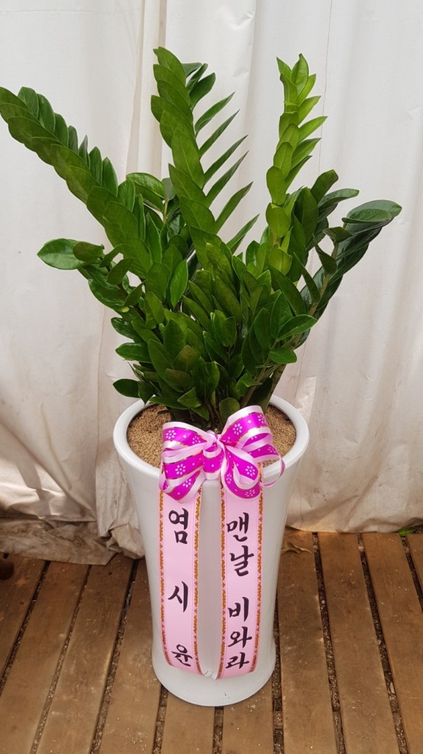 업로드 이미지
