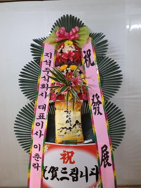 업로드 이미지
