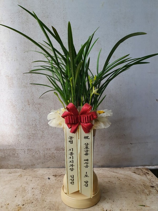 업로드 이미지