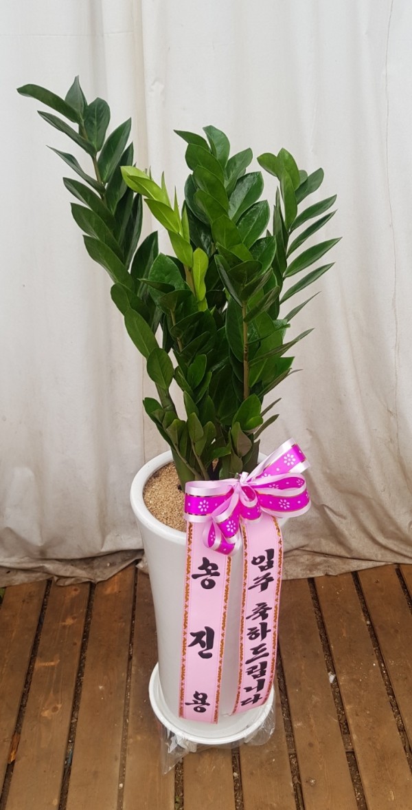 업로드 이미지