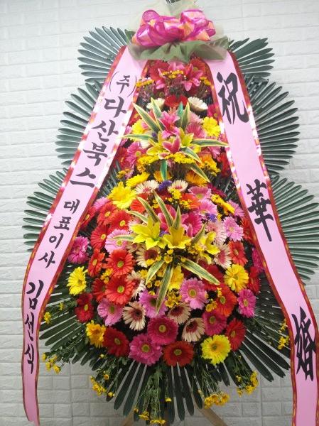 업로드 이미지
