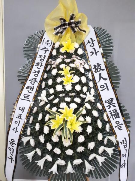 업로드 이미지