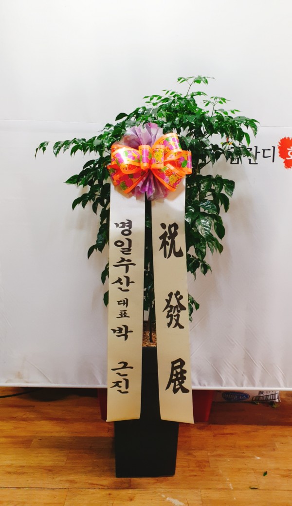 업로드 이미지