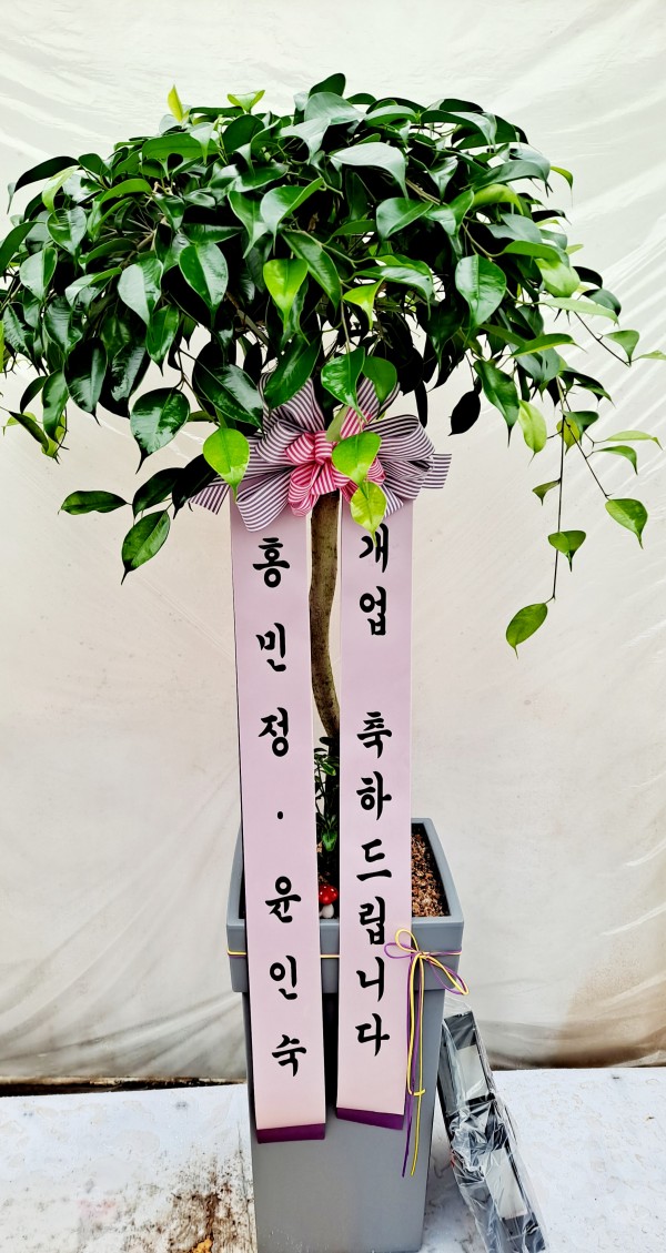 업로드 이미지