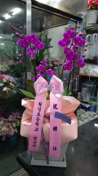 업로드 이미지