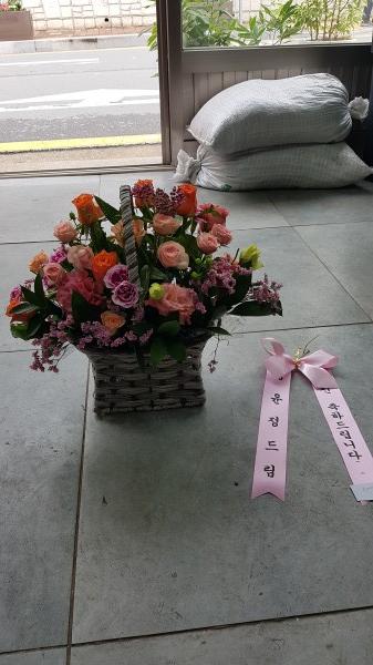 업로드 이미지