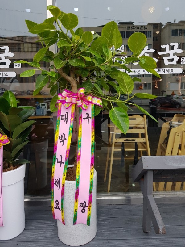 업로드 이미지