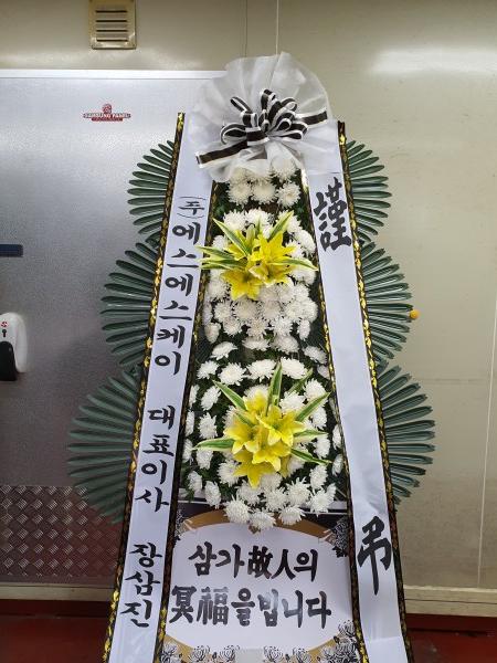 업로드 이미지