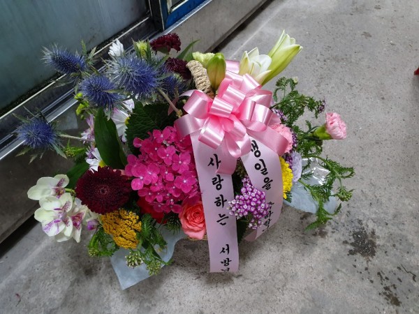 업로드 이미지