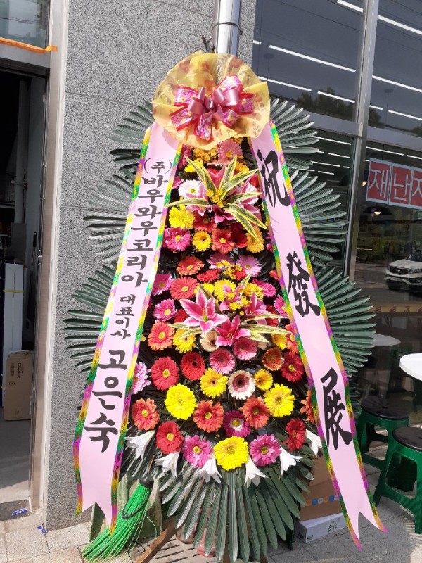 업로드 이미지