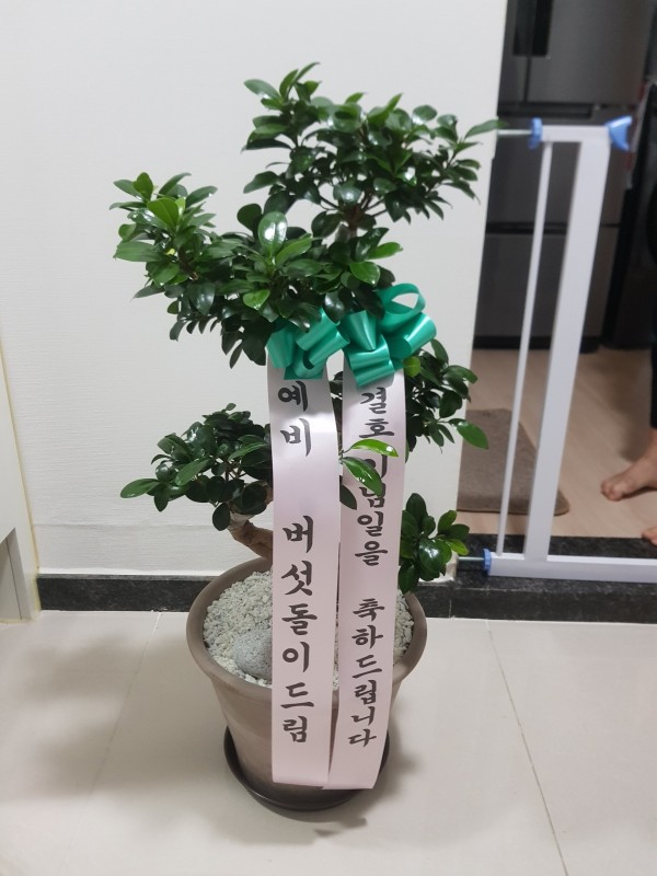 업로드 이미지
