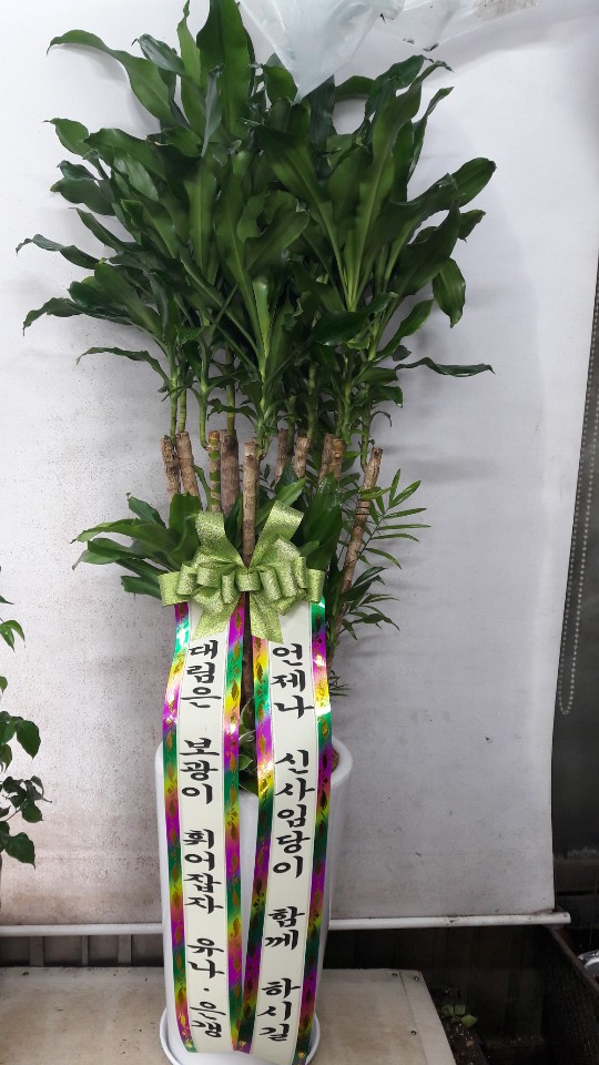 업로드 이미지