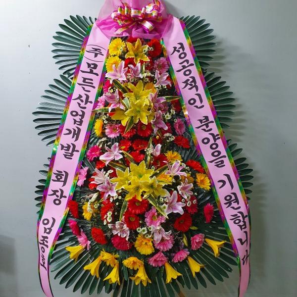 업로드 이미지
