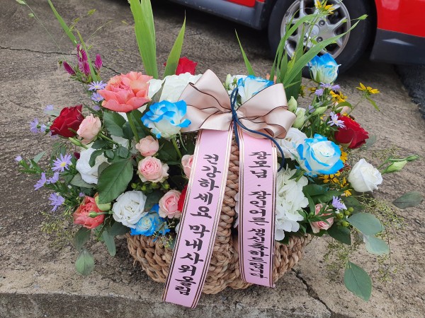 업로드 이미지