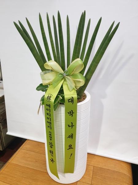 업로드 이미지