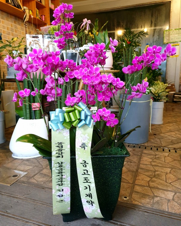 업로드 이미지