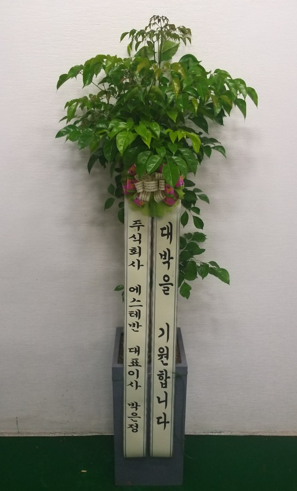 업로드 이미지
