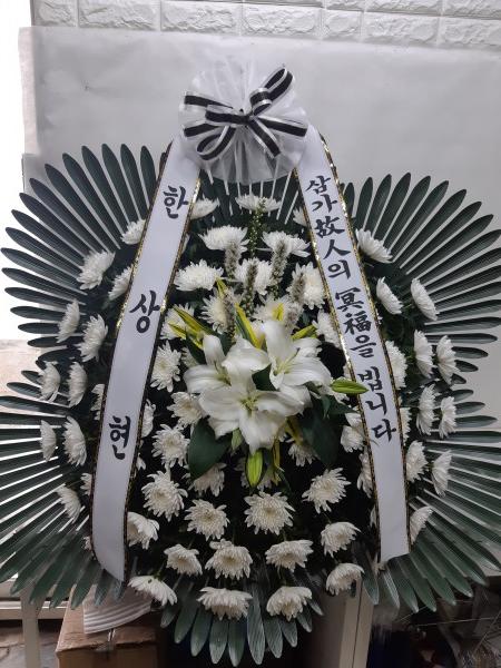 업로드 이미지