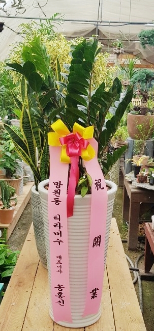 배송사진