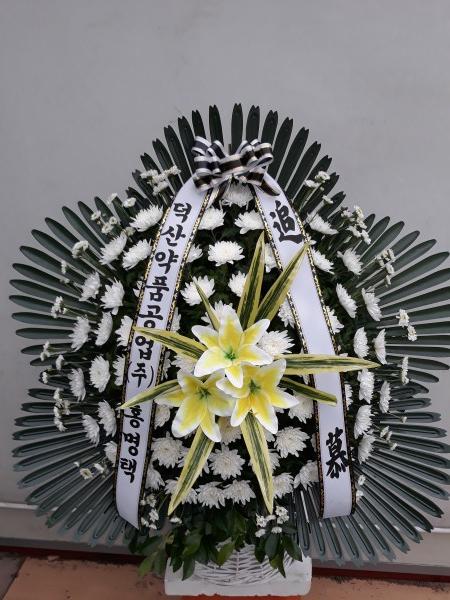업로드 이미지
