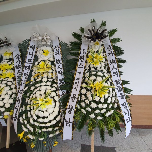 업로드 이미지