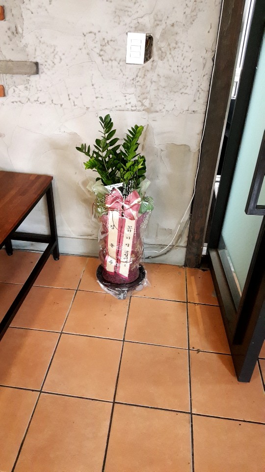 업로드 이미지