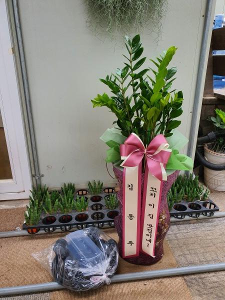 업로드 이미지