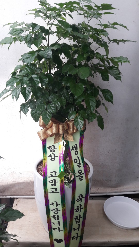 업로드 이미지