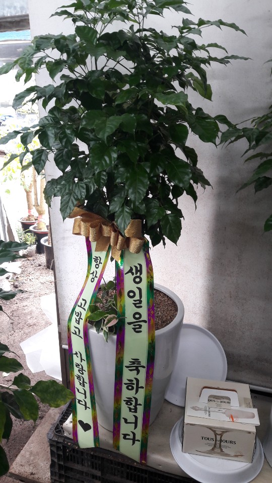 업로드 이미지
