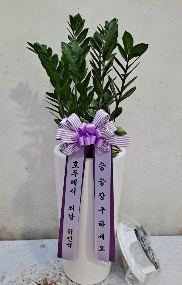 업로드 이미지