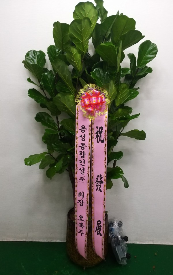 업로드 이미지