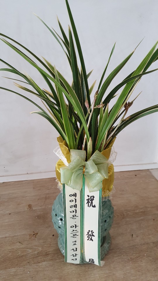 업로드 이미지