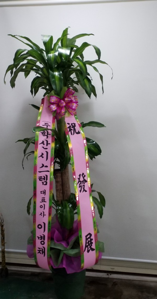 업로드 이미지