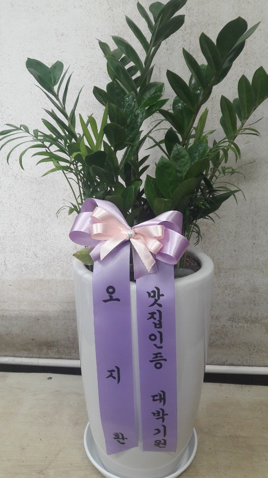 업로드 이미지