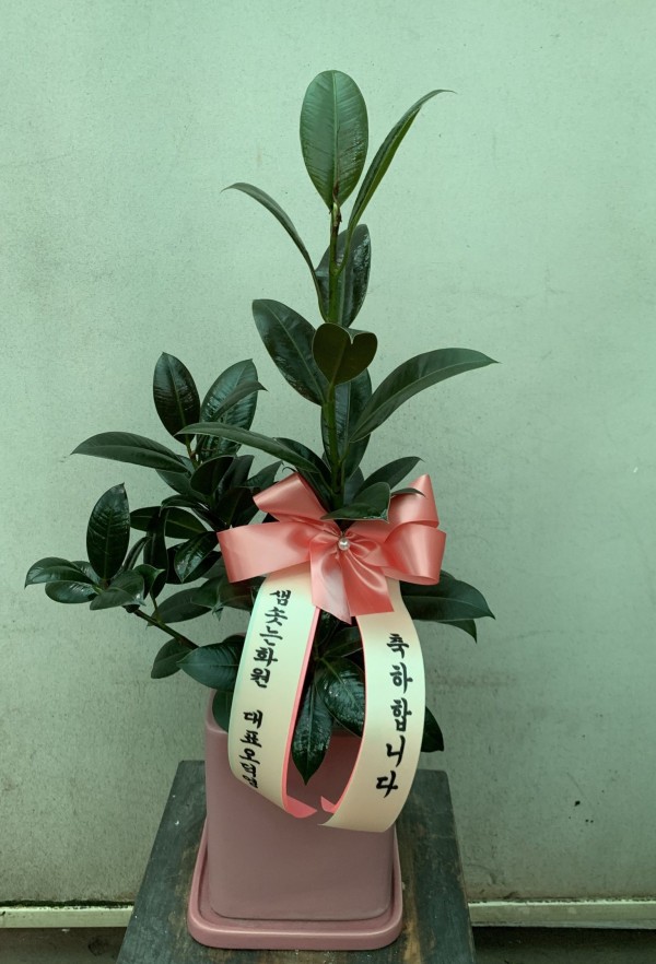 업로드 이미지