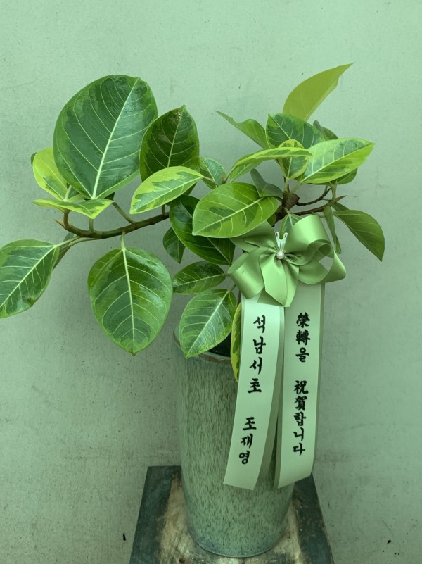 업로드 이미지