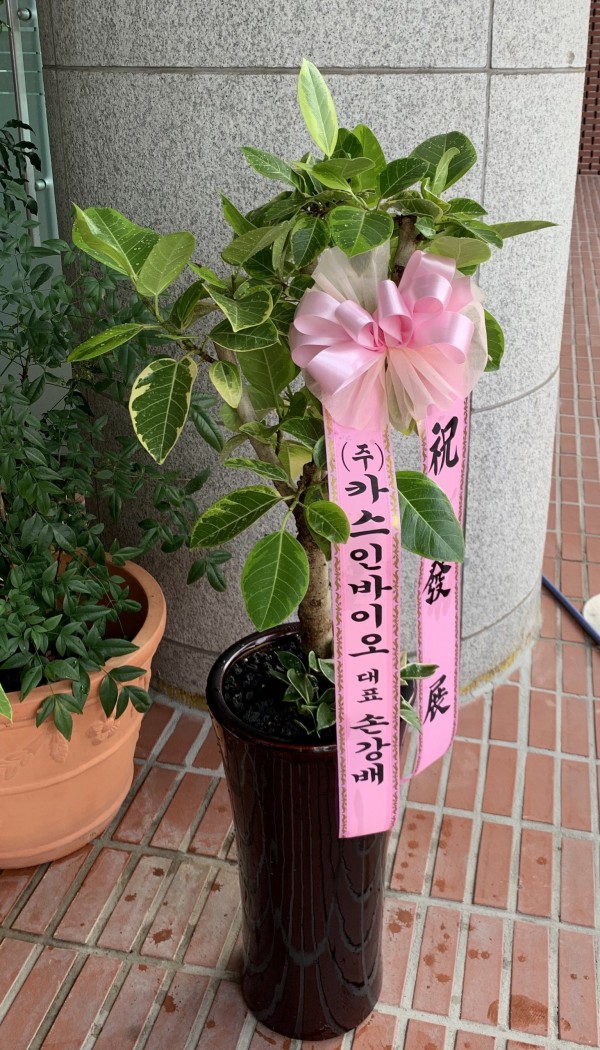 업로드 이미지