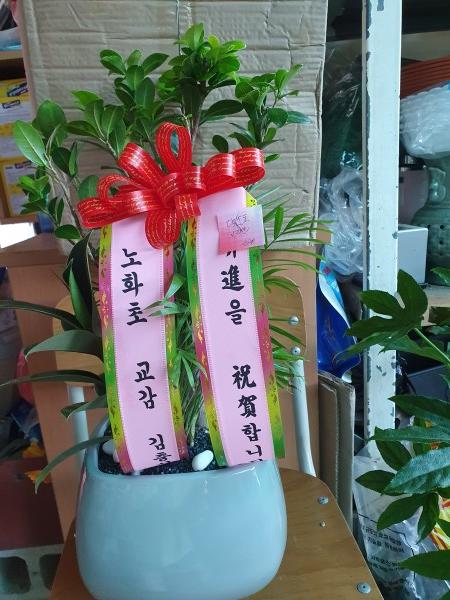 업로드 이미지